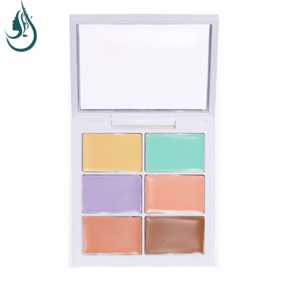 Professional OEM  Makeup Concealer  6 colors custom  Logo  Camouflage  Waterproof concealer palette Private label