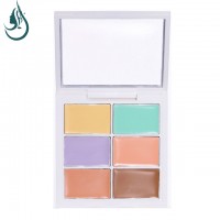 Professional OEM  Makeup Concealer  6 colors custom  Logo  Camouflage  Waterproof concealer palette Private label